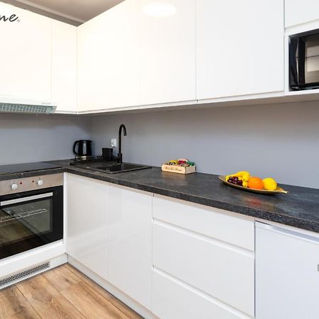 Wonder Home - Apartamenty W Sercu Karpacza, Blisko Deptaka I Terenow Zielonych Экстерьер фото